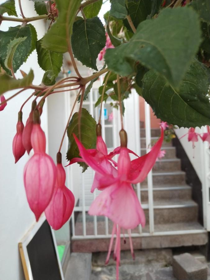 Cusco Vista Guest House Εξωτερικό φωτογραφία